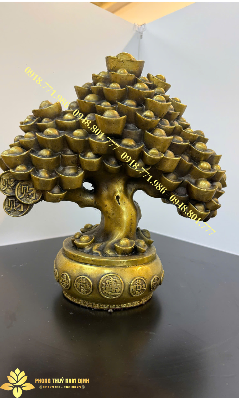 Ý nghĩa phong thủy của cây tiền tài lộc