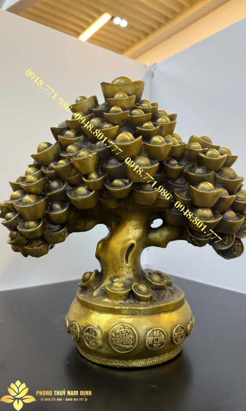 Cây tiền tài lộc